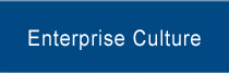 Enterprise Culture